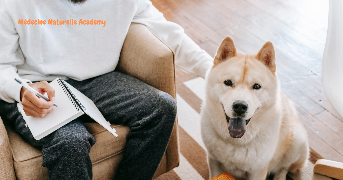 Formation certifiée IPHM en naturopathie animalière