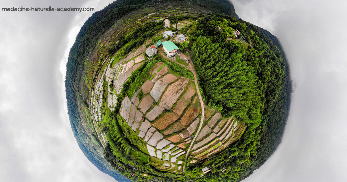 Formation géobiologie au Canada